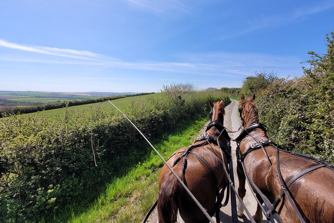 Horse Drawn Countryside Tours
