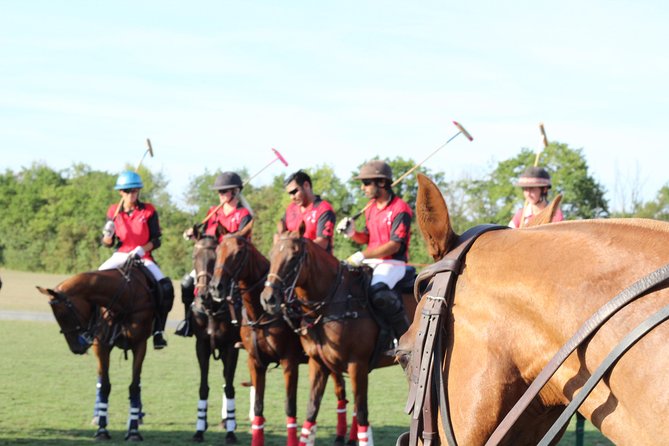 Horse & Polo in Windsor, UK - Good To Know