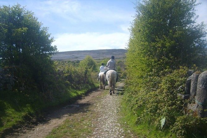 Horse Riding - Burren Trail. Lisdoonvarna, Co Clare. Guided. 3 Hours. - Duration Options: Three or Four Hours