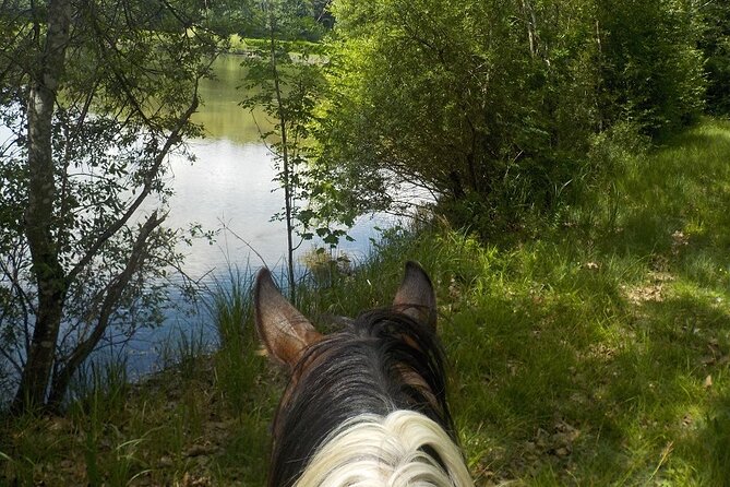Horse Riding in the Countryside 1 Hour of Hiking