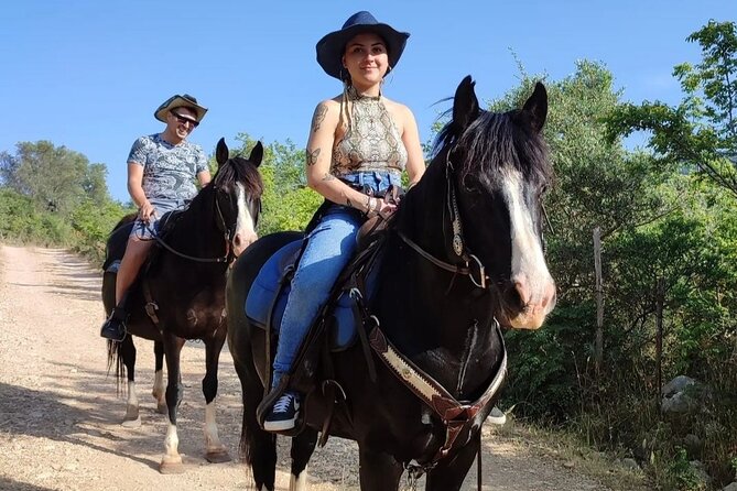Horse Riding in the Gargano National Park - Expectations and Additional Information