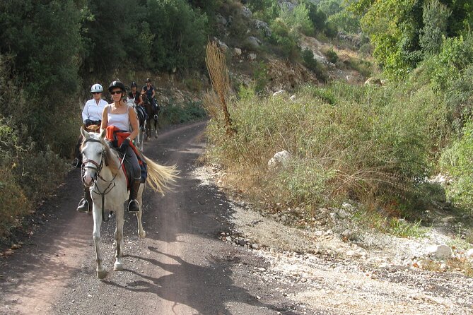 Horse Riding Tour in Bodrum With Hotel Pick up - Good To Know