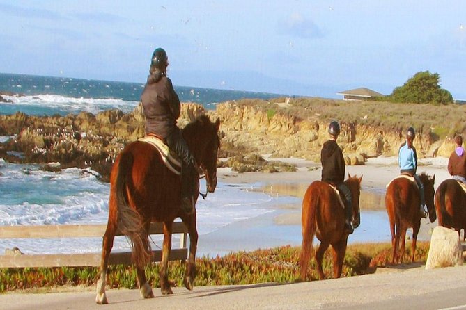 Horseback Ride & Alcatraz Prison Tickets - Pricing and Duration