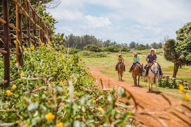 Horseback Ride Like an Authentic Paniolo in Kahuku - Good To Know