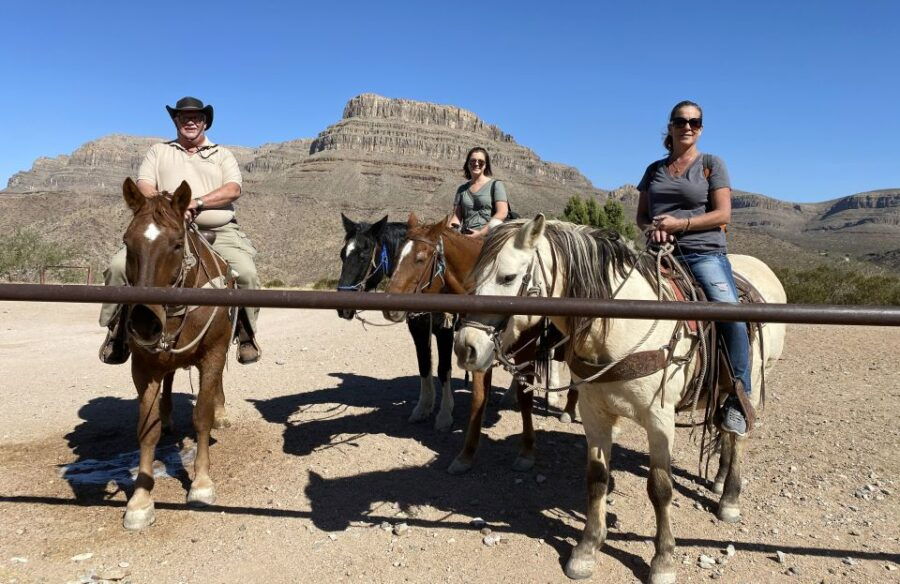 Horseback Ride Thru Joshua Tree Forest With Buffalo & Lunch - Good To Know