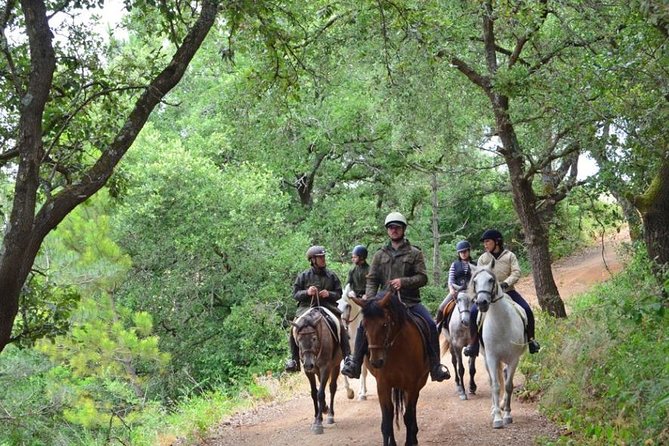 Horseback Riding, 4 Options-Mountain, Lesson Ring, Beach (2Hours) - Lesson Ring Horseback Riding
