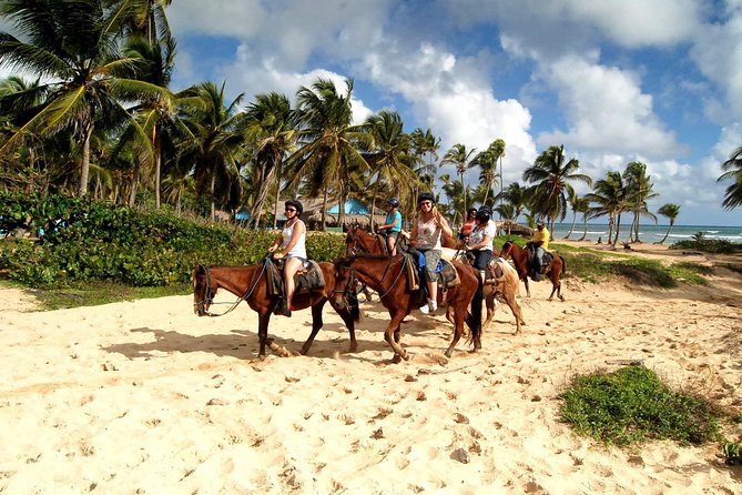 Horseback Riding Adventure Punta Cana - Good To Know