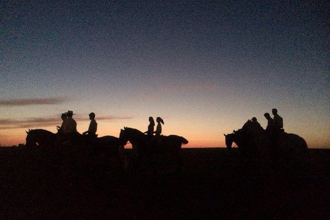 Horseback Riding Around Doñana - Good To Know