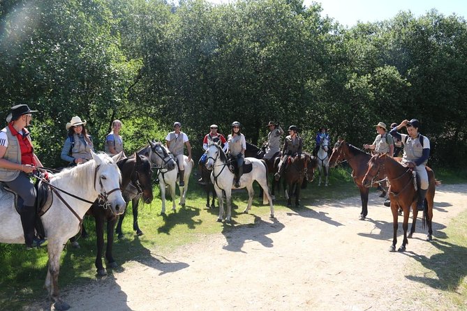 Horseback Riding Camino De Santiago in Abadín, Spain - Good To Know