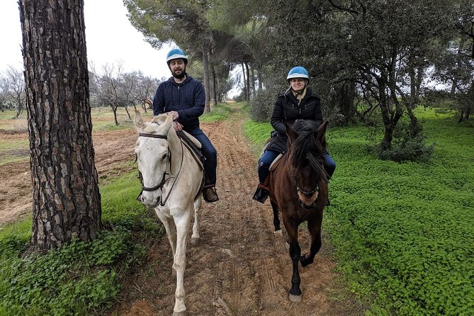 Horseback Riding Exclusive for Couples, in Parque Natural Doñana, Sevilla