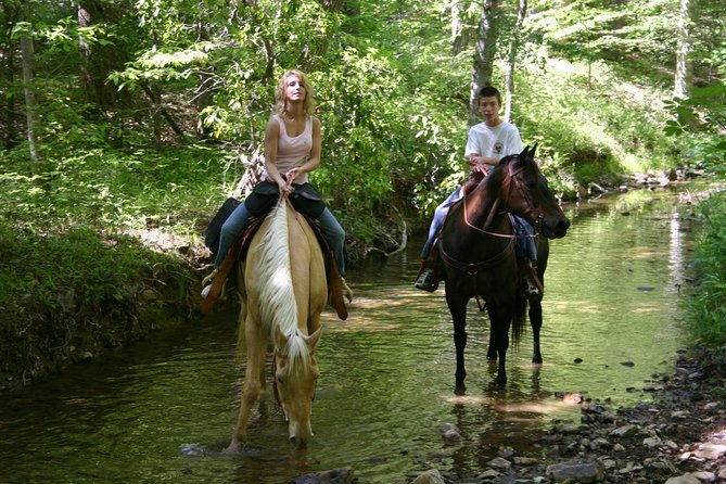 Horseback Riding Experience in Marmaris - Good To Know