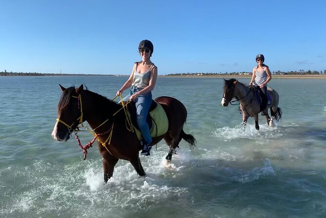Horseback Riding in Djerba Lagoon - Good To Know