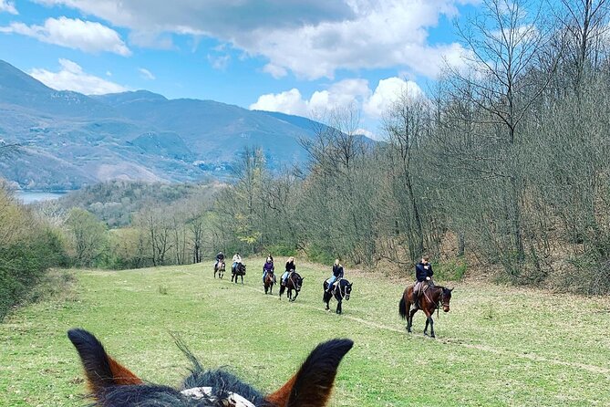 Horseback Riding in Nature - Good To Know
