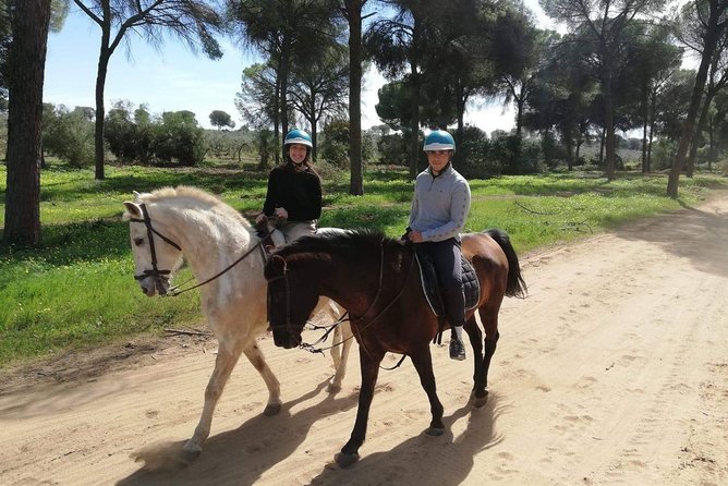 Horseback Riding in Parque Natural Doñana, Sevilla - Good To Know
