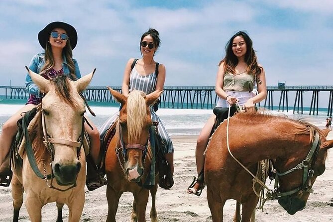 Horseback Riding on Private Beach and Puerto Nuevo From Rosarito - Good To Know