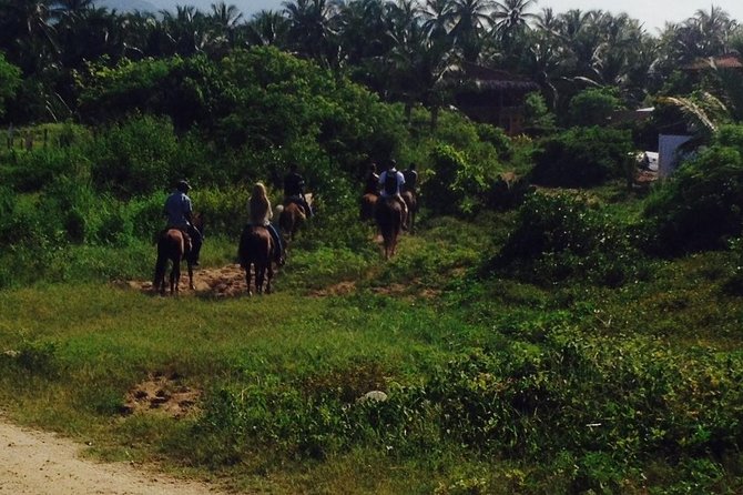 Horseback Riding on the Beach and Through a Coconut Plantation - Good To Know