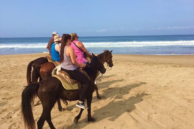 Horseback Riding Playa Larga - Good To Know