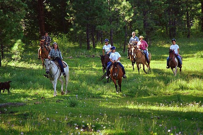Horseback Riding Plus Tour to Sacsayhuaman, Quenqo, Puka Pucara and Tambomachay - Tour Highlights