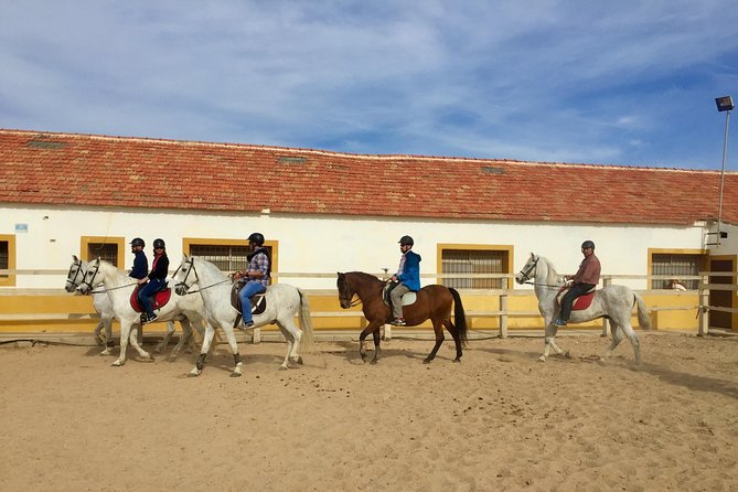 Horseback Riding Through the Calblanque Natural Park - Good To Know