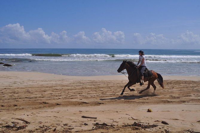 Horseback Riding Tour Adventure on the Beach - Inclusions