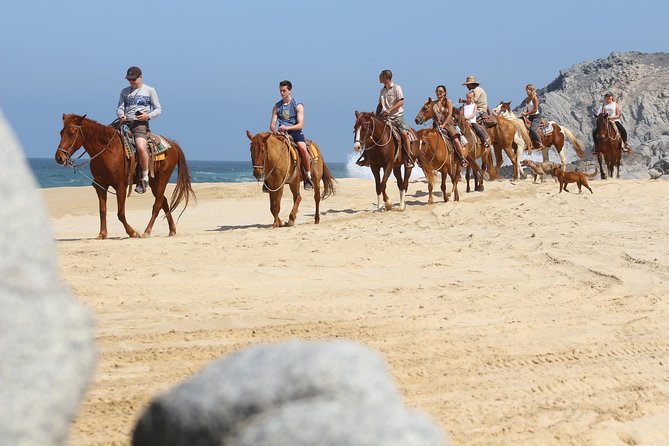 Horseback Riding Tour in Cabo San Lucas - Good To Know