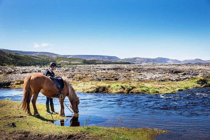 Horseback Riding Tour in Iceland - Good To Know