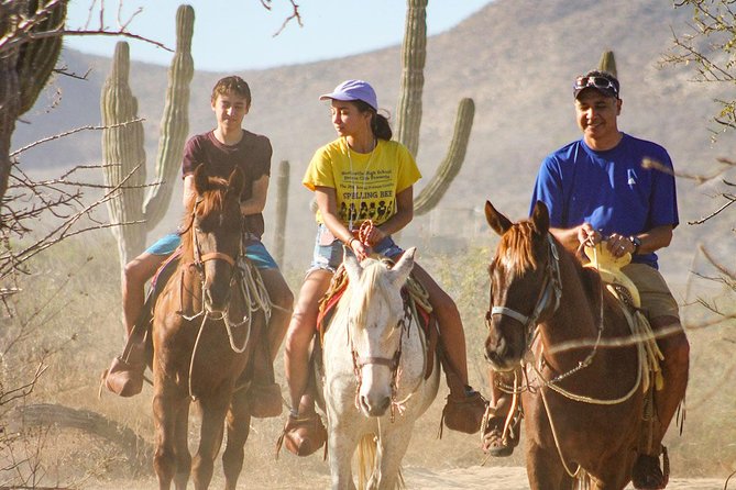 Horseback Riding Tour in Los Cabos - Good To Know