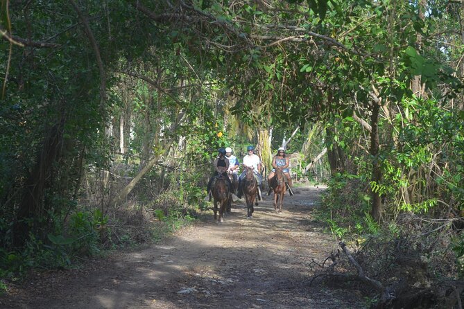 Horseback Riding Tour on the Beaches of Punta Cana - Meeting and Pickup