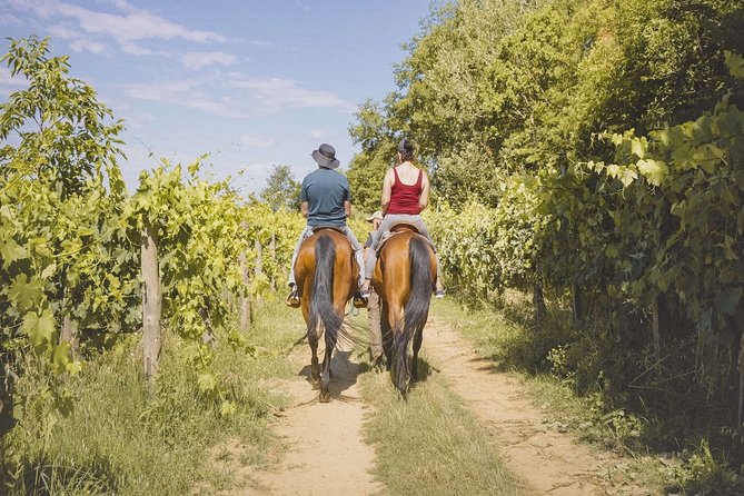 Horseback Riding Tour With Tuscan Picnic in Val Dorcia and Valdichiana - Good To Know