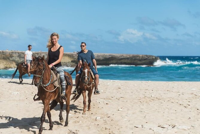 Horseback Riding Wariruri Beach Tour in Aruba - Good To Know