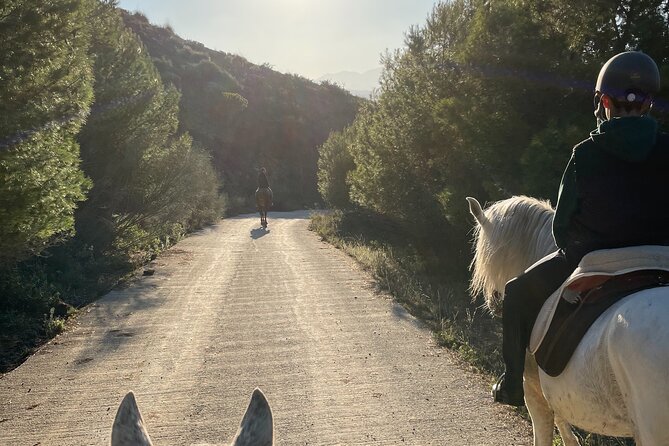 Horseback Riding With Certified Guide - Good To Know