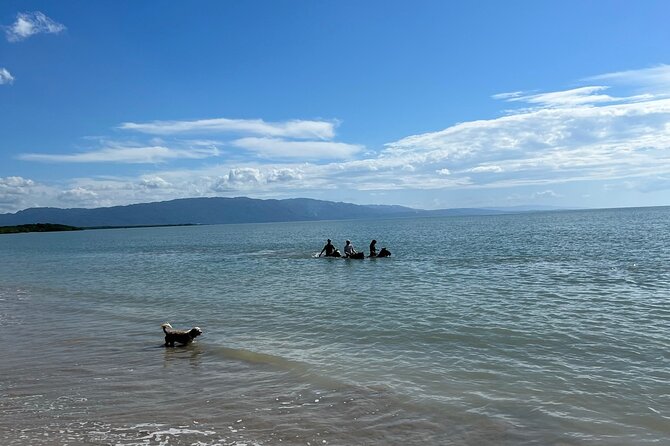 Horseback “Special”- Negril’S Beach Ride N’ Swim With Free Photos/Videos