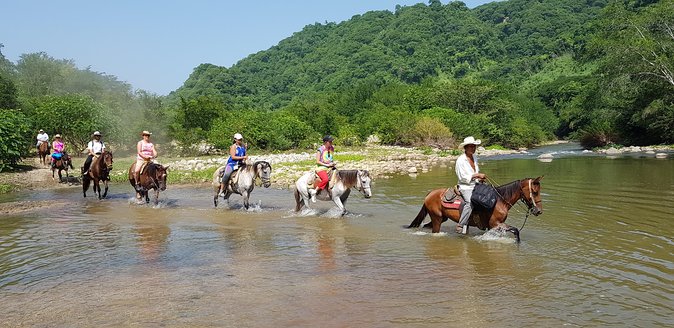 Hot Springs Horseback Riding Adventure - Good To Know