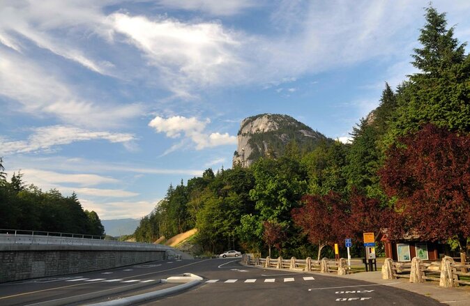 4 Best Safari Tours In Vancouver