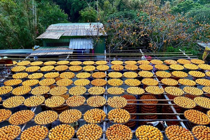 Hsinchu Sugar Culture and Dried Persimmon Experience From Taipei