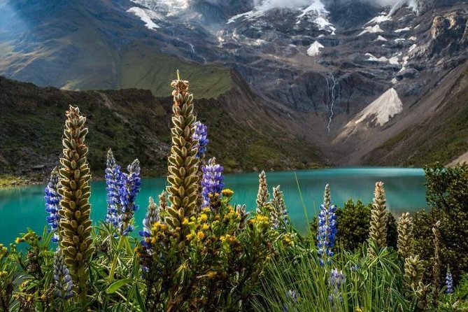 2 Best Full-Day Tours In Mollepata