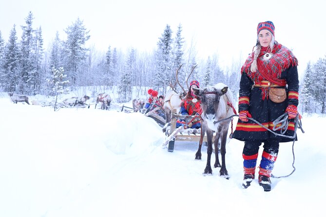 Hunt for Auroras by Reindeer Sled in Kiruna