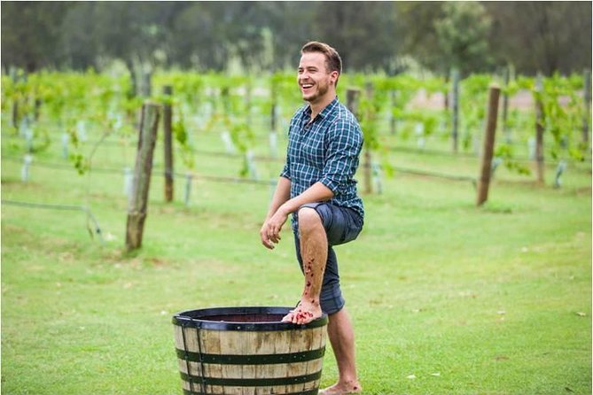 Hunter Valley Grape Stomping