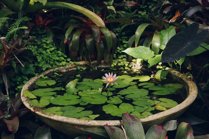 Huntes Gardens - Cancellation and Refund Policy