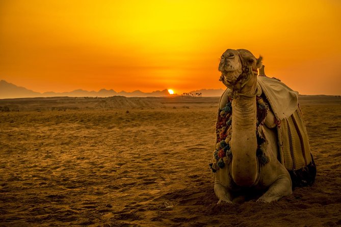 Hurghada: Star Watching Desert Adventure by Jeep With Dinner - Good To Know