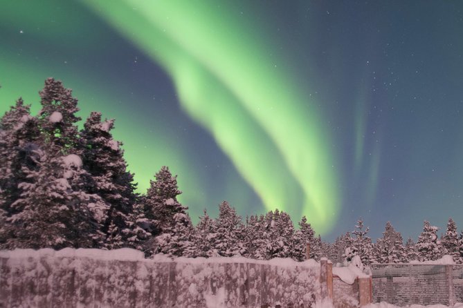 Husky Sled Ride Northern Lights Tour From Kiruna