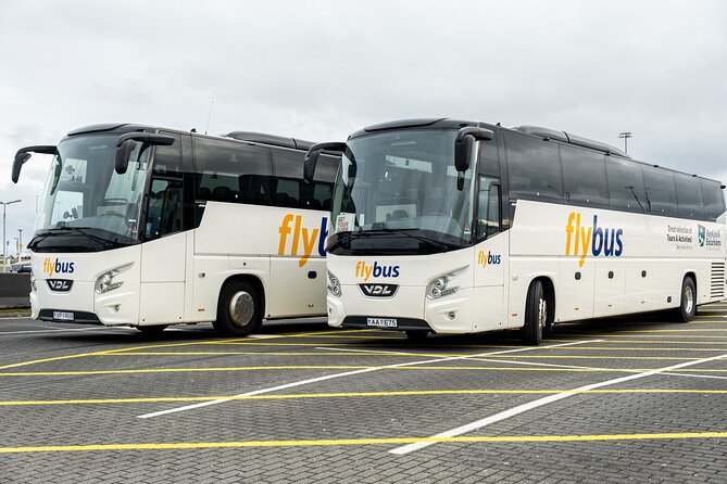 Iceland: Airport Transfers Between Keflavik Airport and Reykjavik Hotels - Good To Know