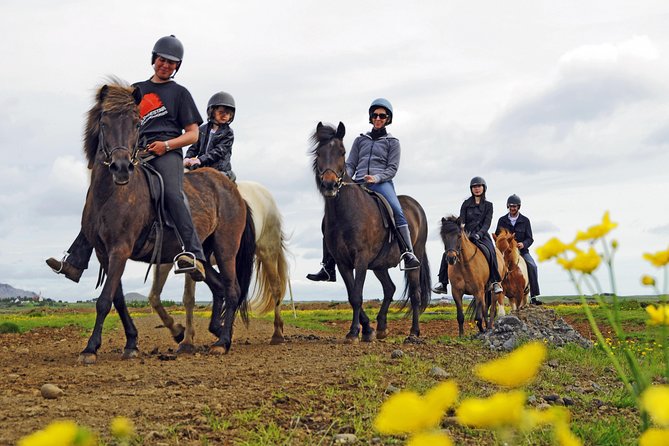 Iceland Tour With Horseback Riding - Good To Know