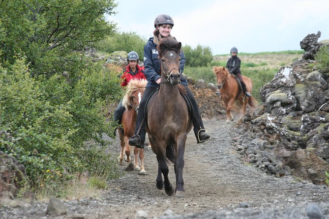 Icelandic Horseback Riding Tour From Reykjavik - Good To Know