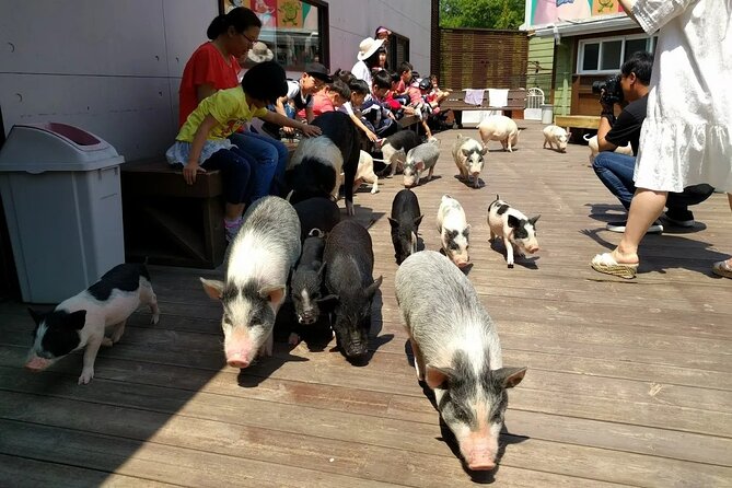 Icheon Mountain Hiking & Culture Tour - Good To Know