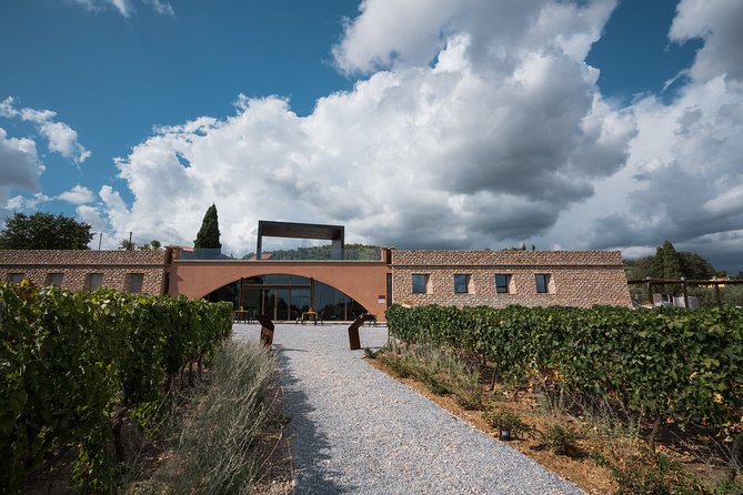 In a Carriage Among the Vineyards, Visit of the Cellar, Tasting of Organic Wines. - Good To Know