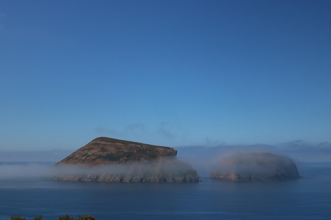In and Around Terceira Island in a 4X4 - Flora and Fauna Experience