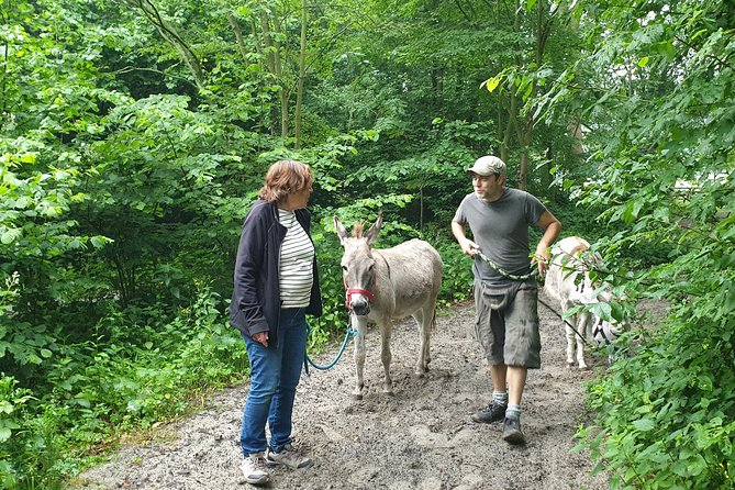 Inspirational Nature Walking Tour With Donkeys in the Hague