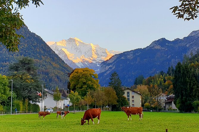 Interlaken Sightseeing: Lauterbrunnen, Brienz, Interlaken - Good To Know