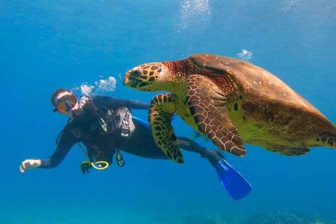 Intro to Scuba Diving in Kaanapali - Good To Know